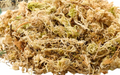 Sphagnum Moss — 1 LB Bag