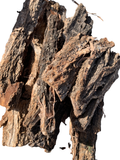 Hardwood Bark