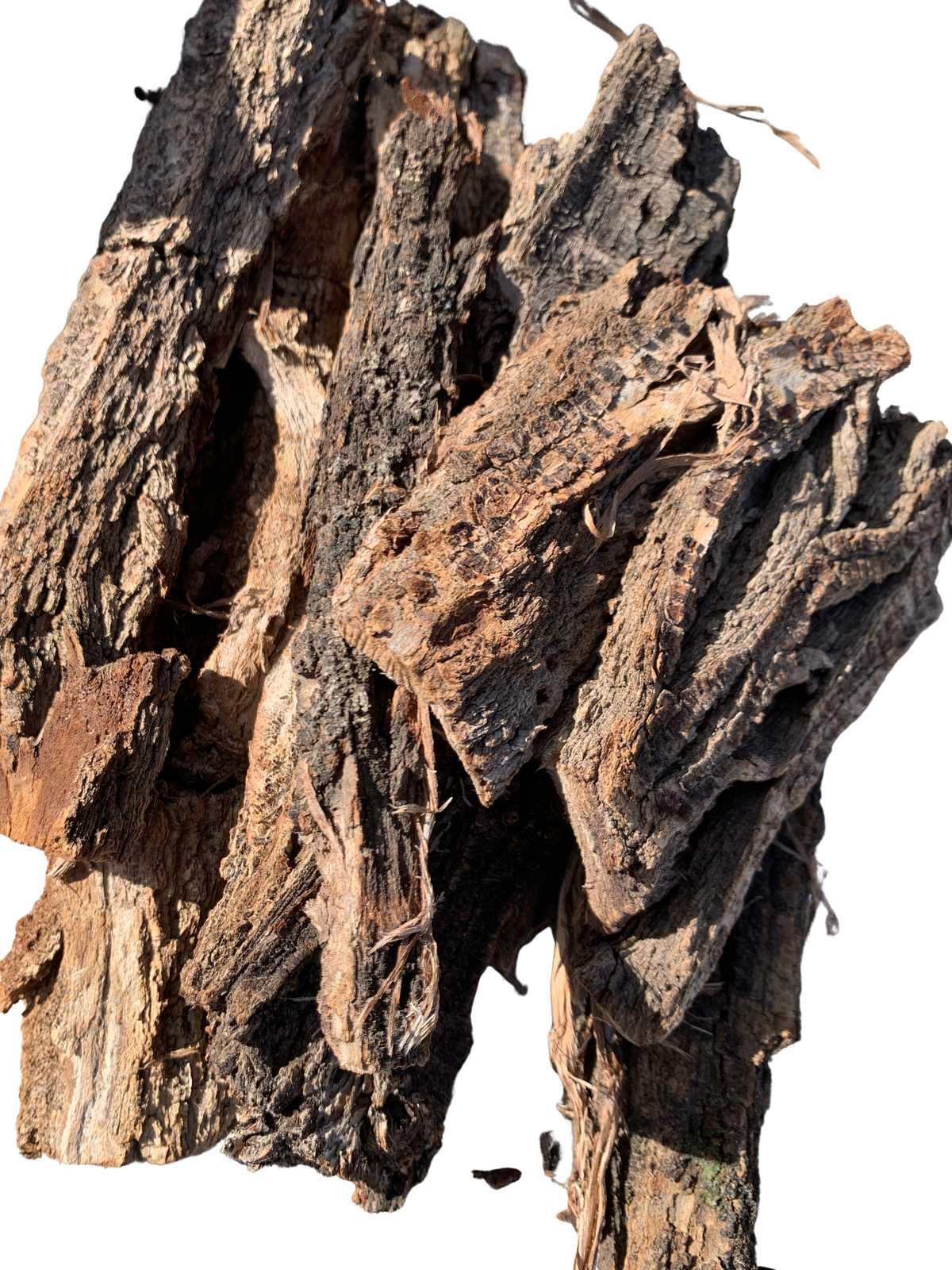 Hardwood Bark
